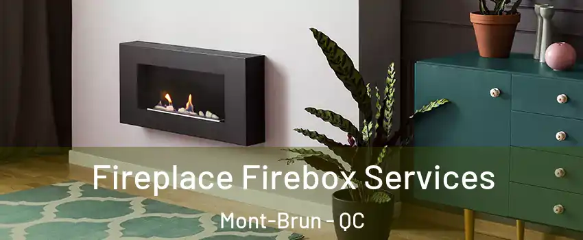  Fireplace Firebox Services Mont-Brun - QC