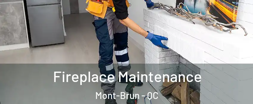  Fireplace Maintenance Mont-Brun - QC