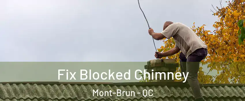  Fix Blocked Chimney Mont-Brun - QC