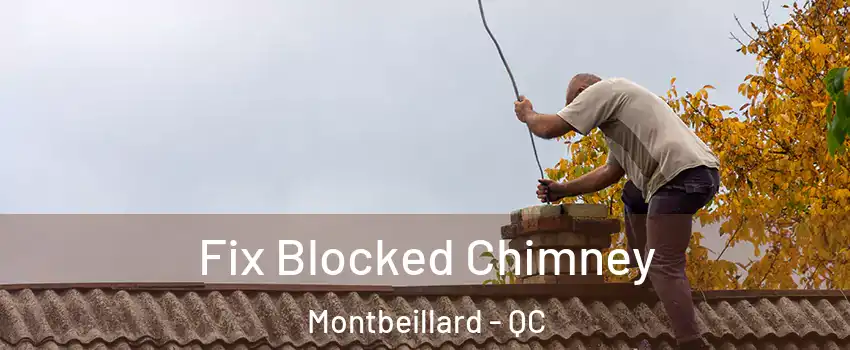  Fix Blocked Chimney Montbeillard - QC