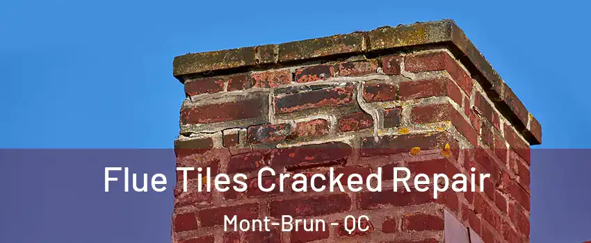  Flue Tiles Cracked Repair Mont-Brun - QC