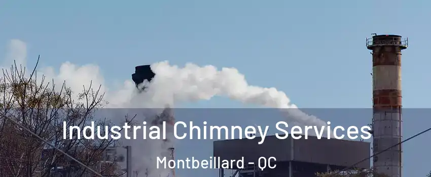  Industrial Chimney Services Montbeillard - QC