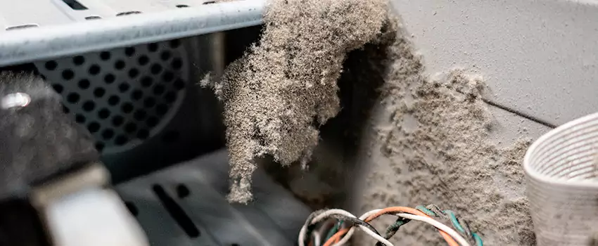 Clogged Dryer Vent Lint Cleaning in DAlembert, Quebec