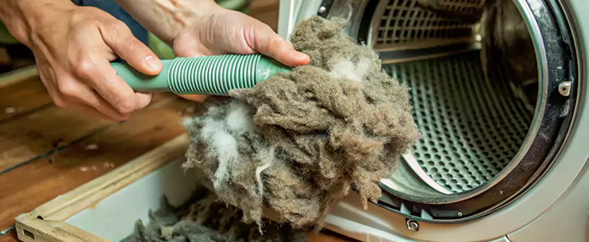 Best Dryer Lint Removal Company in Noranda, Quebec