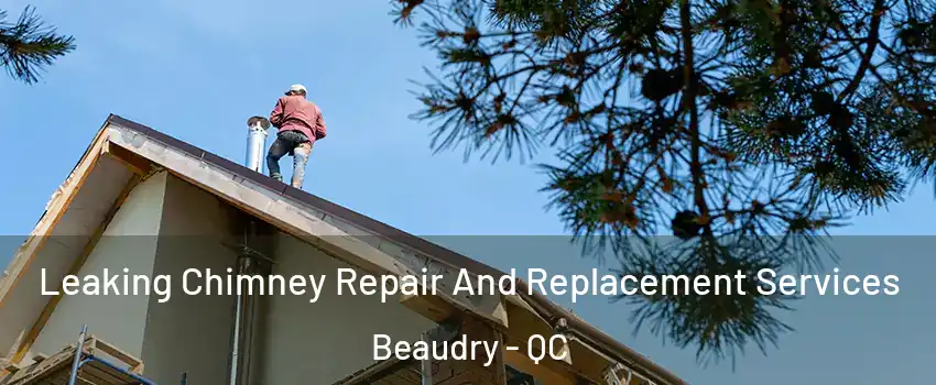  Leaking Chimney Repair And Replacement Services Beaudry - QC