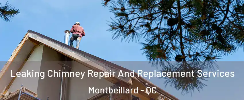  Leaking Chimney Repair And Replacement Services Montbeillard - QC