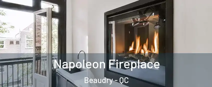  Napoleon Fireplace Beaudry - QC