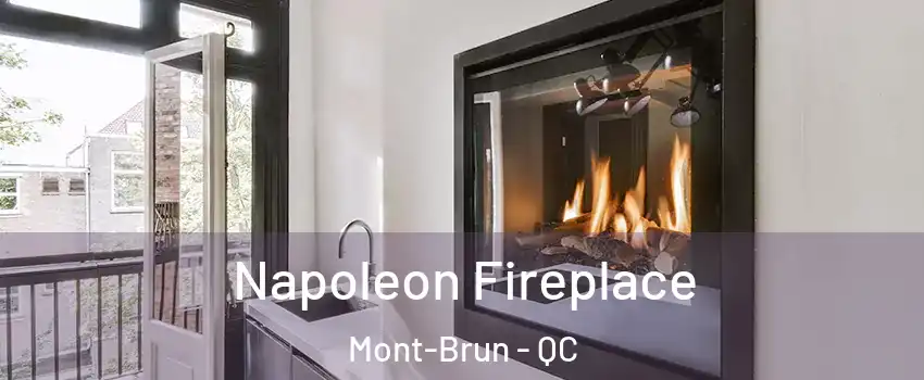  Napoleon Fireplace Mont-Brun - QC
