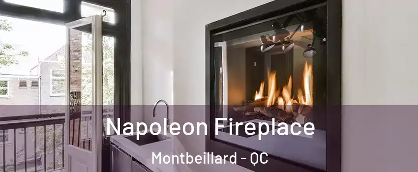  Napoleon Fireplace Montbeillard - QC