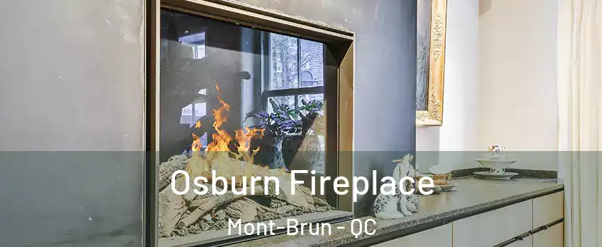  Osburn Fireplace Mont-Brun - QC
