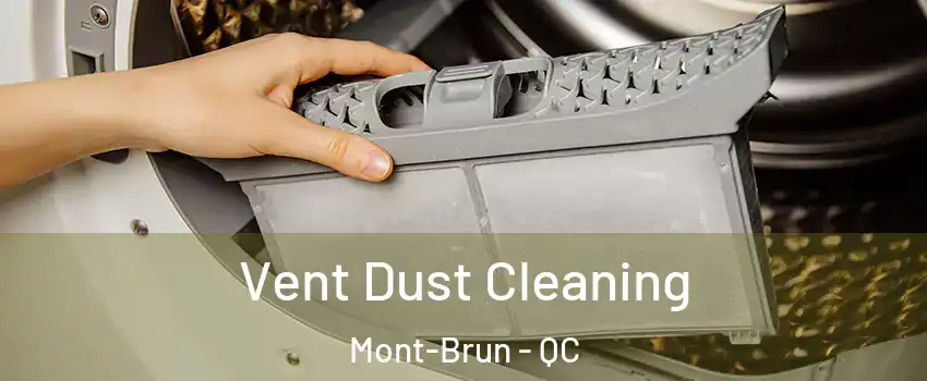  Vent Dust Cleaning Mont-Brun - QC